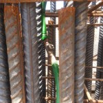 DUCP1 (Copy)