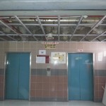 WCMC3 (Copy)